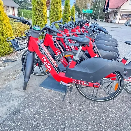 Maly Karmelowy * Stężyca